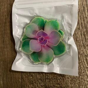 Succulent phone grip